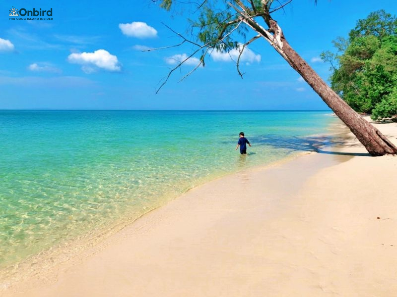 Phu Quoc Dragon Beach - an untouched beach in the North