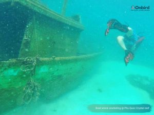 Diving & Snorkeling at Boat wreck - Phu Quoc Distinct Snorkeling Tour