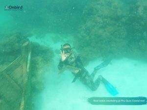 Diving & Snorkeling at Boat wreck - Phu Quoc Distinct Snorkeling Tour