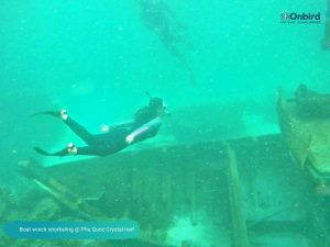 Diving & Snorkeling at Boat wreck - Phu Quoc Distinct Snorkeling Tour
