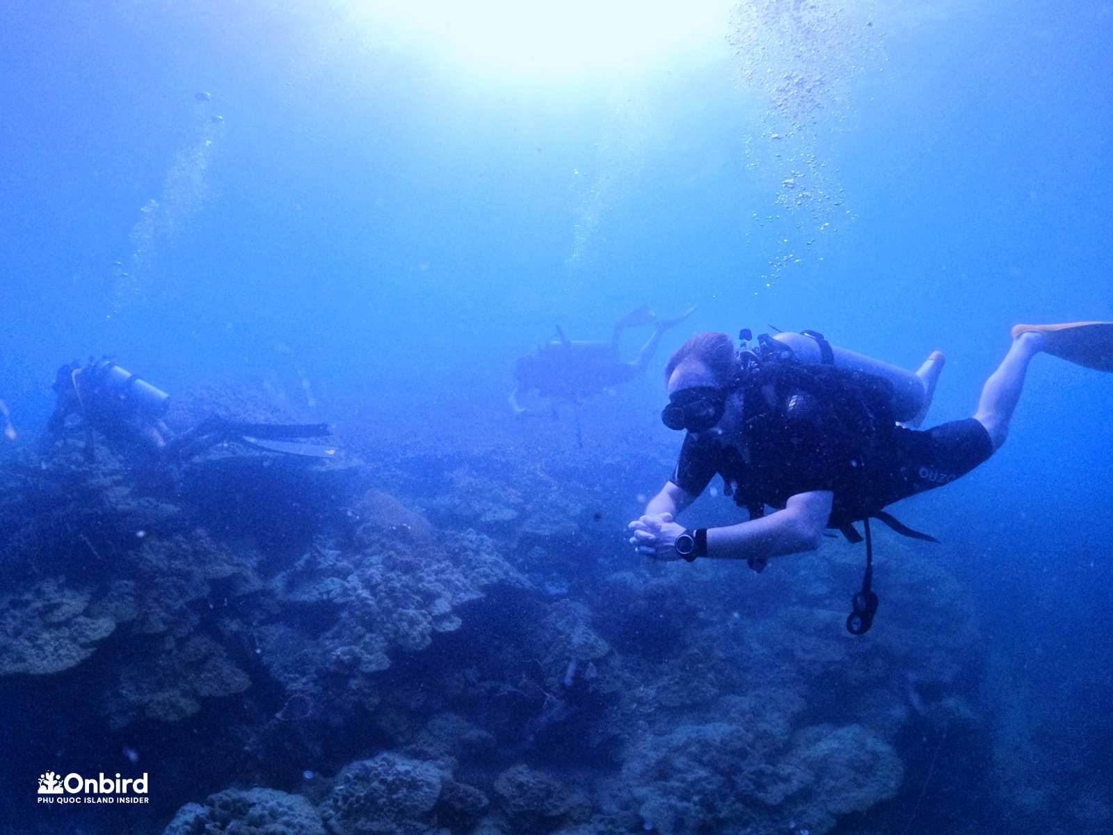 Everything turns blue as you go deep - OnBird Phu Quoc