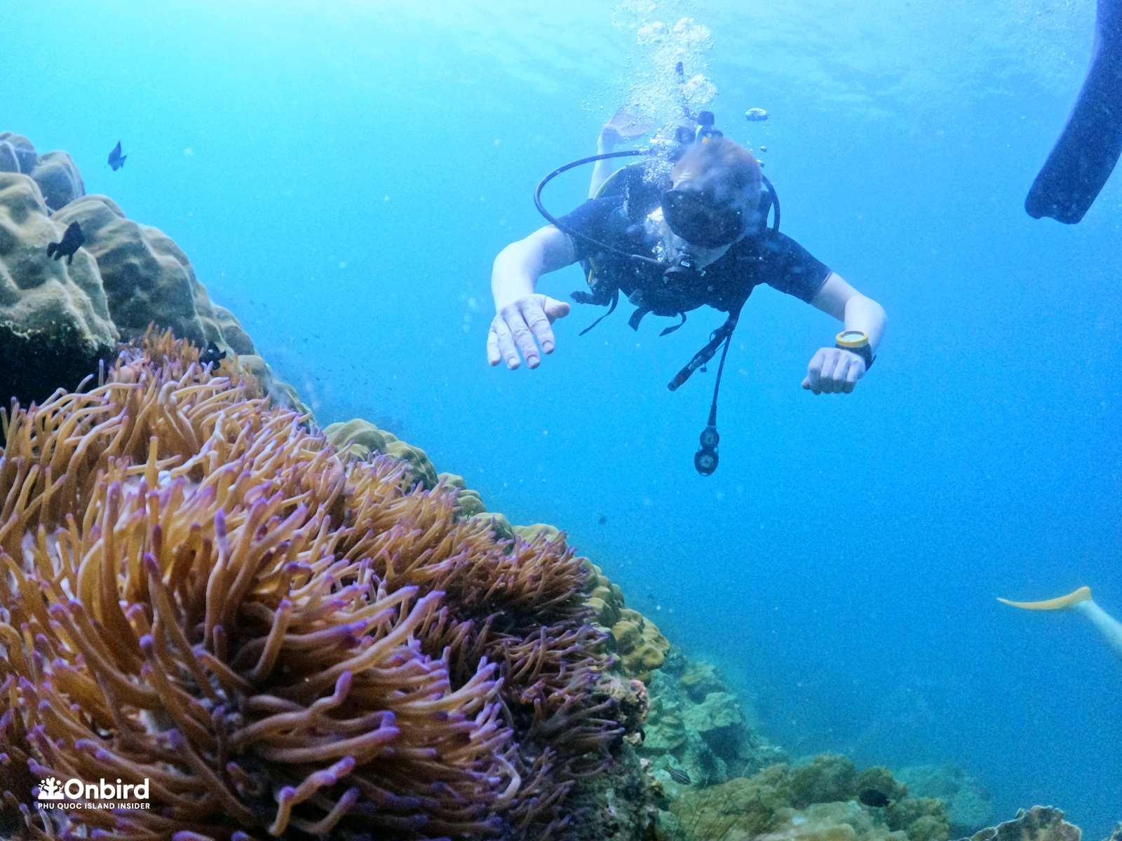 Scuba Diving in Phu Quoc Island, Vietnam