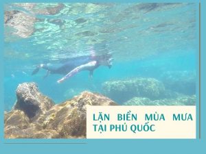 Bản Sao Của Thumnail