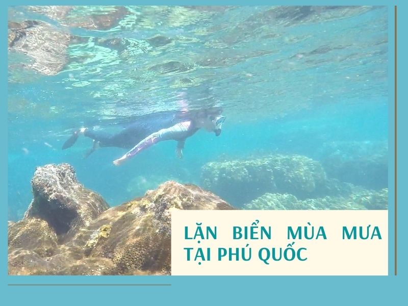 Bản Sao Của Thumnail