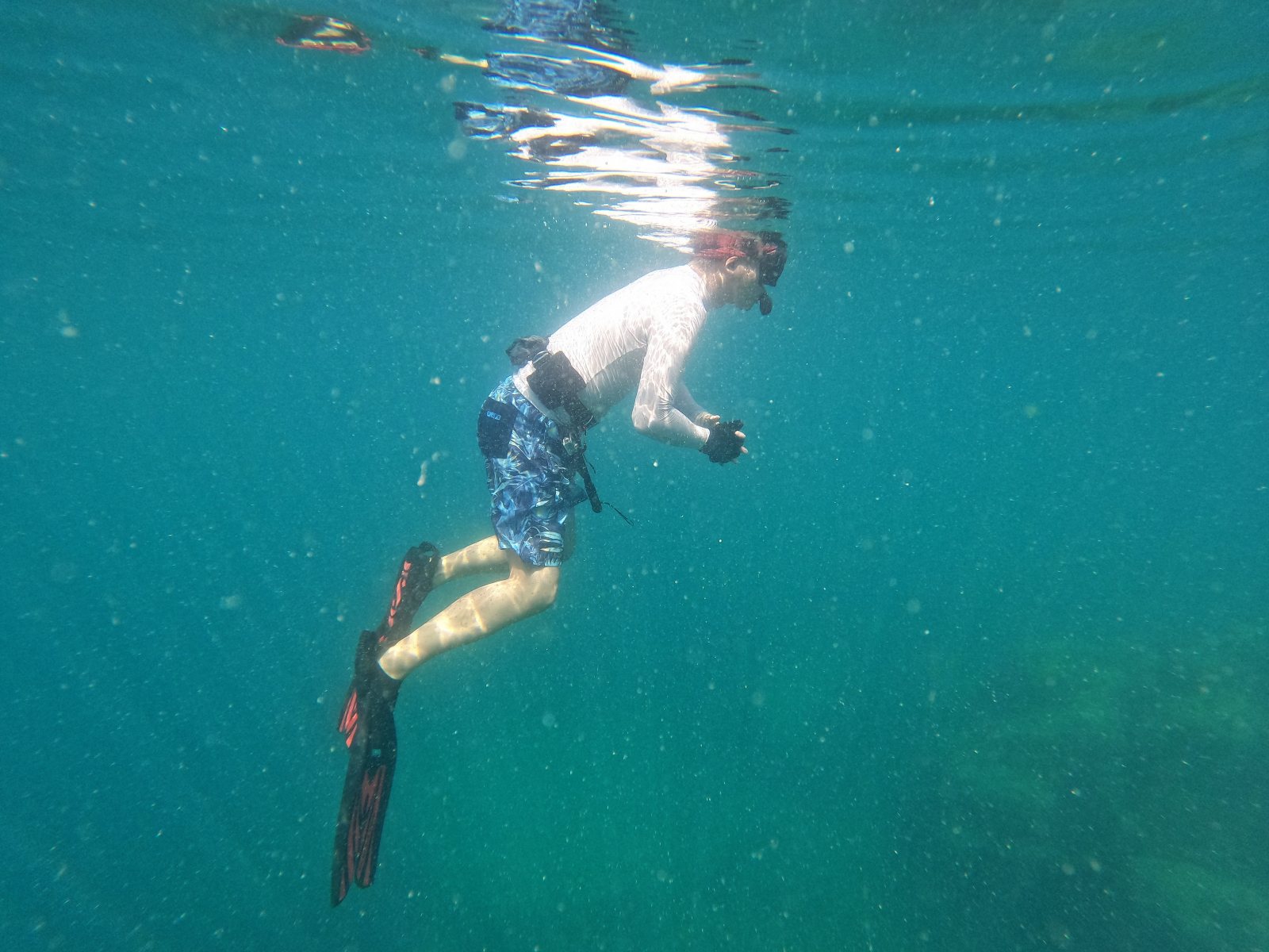 Snorkeling in Phu Quoc island