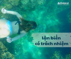 Lan Bien Co Trach Nhiem