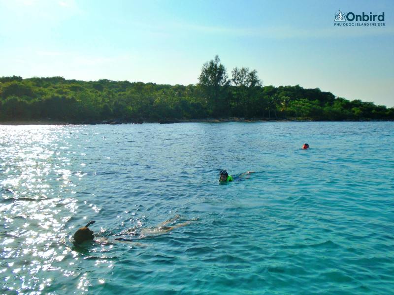 Bơi Tại Shallow Reef