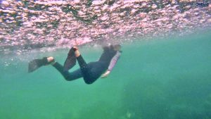 Logo Resized Logo Resized Snorkeling 6