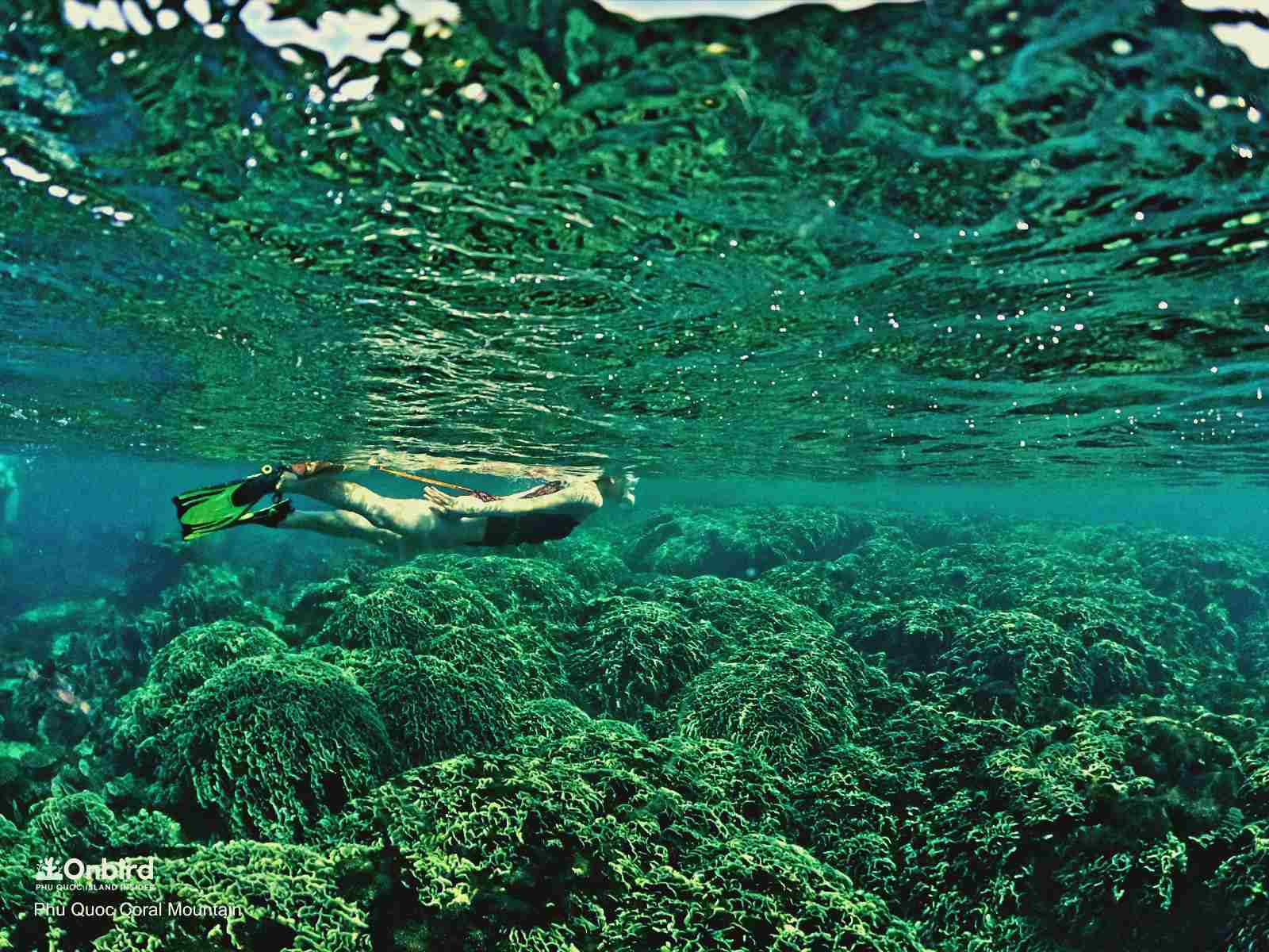 A Korean girl exploring the Coral Mountain, Phu Quoc Island, Vietnam