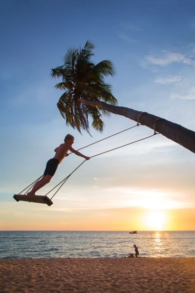 Favorite palm tree of all guests at Cassia Cottage Phu Quoc Resort