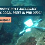 Irresponsible anchorage can cause serious damage to corals in Phu Quoc
