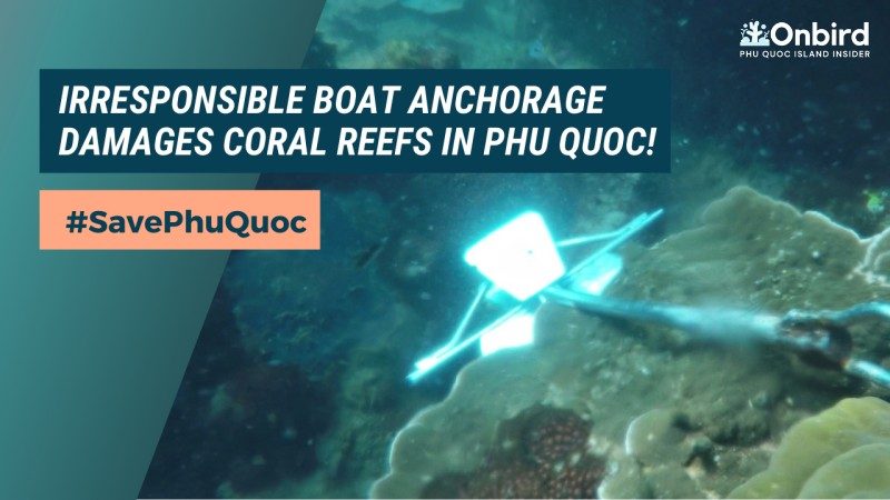 Irresponsible anchorage can cause serious damage to corals in Phu Quoc
