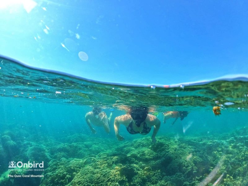 The best Small-group snorkeling tour in Phu Quoc Island, Vietnam