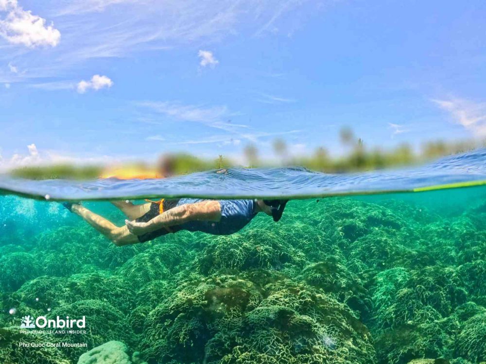 PRIVATE SNORKELING TRIP TO HALFMOON REEF & CORAL MOUNTAIN IN PHU QUOC