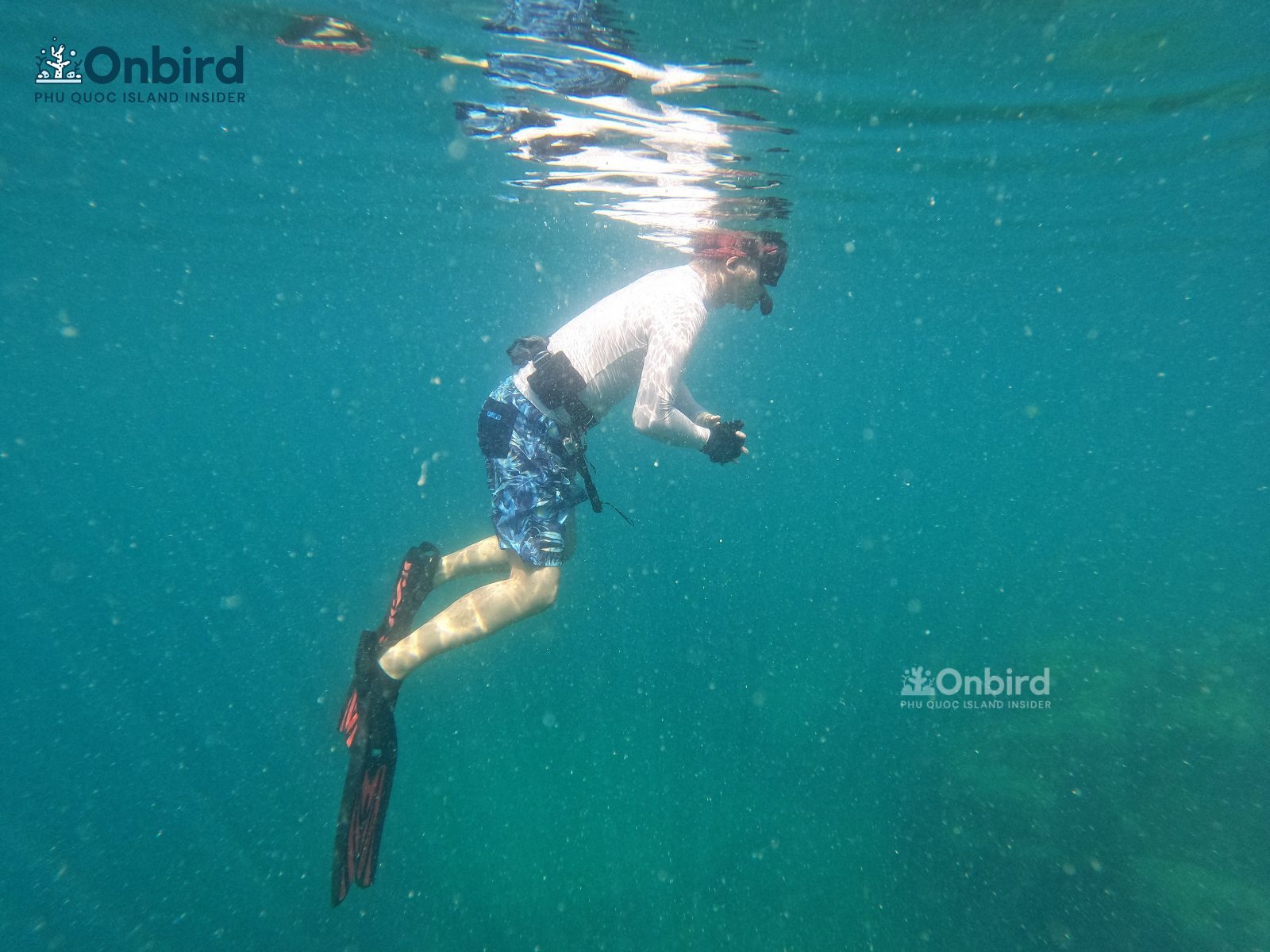 Snorkeling at U-Turn reef in Phu Quoc island
