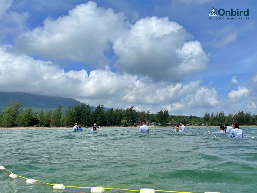 Keo Luoi Bo Bai Thom (web) (7)