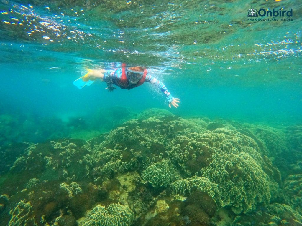 Kids enjoys snorkeling at Coral Mountain, Phu Quoc Island, Vietnam