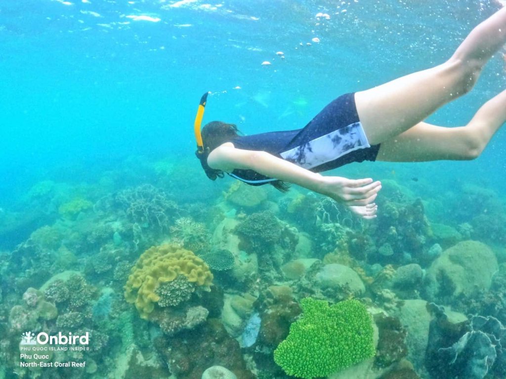 12-years-old girl enjoying her snorkeling at North-east Coral Reef, Phu Quoc Island, Vietnam