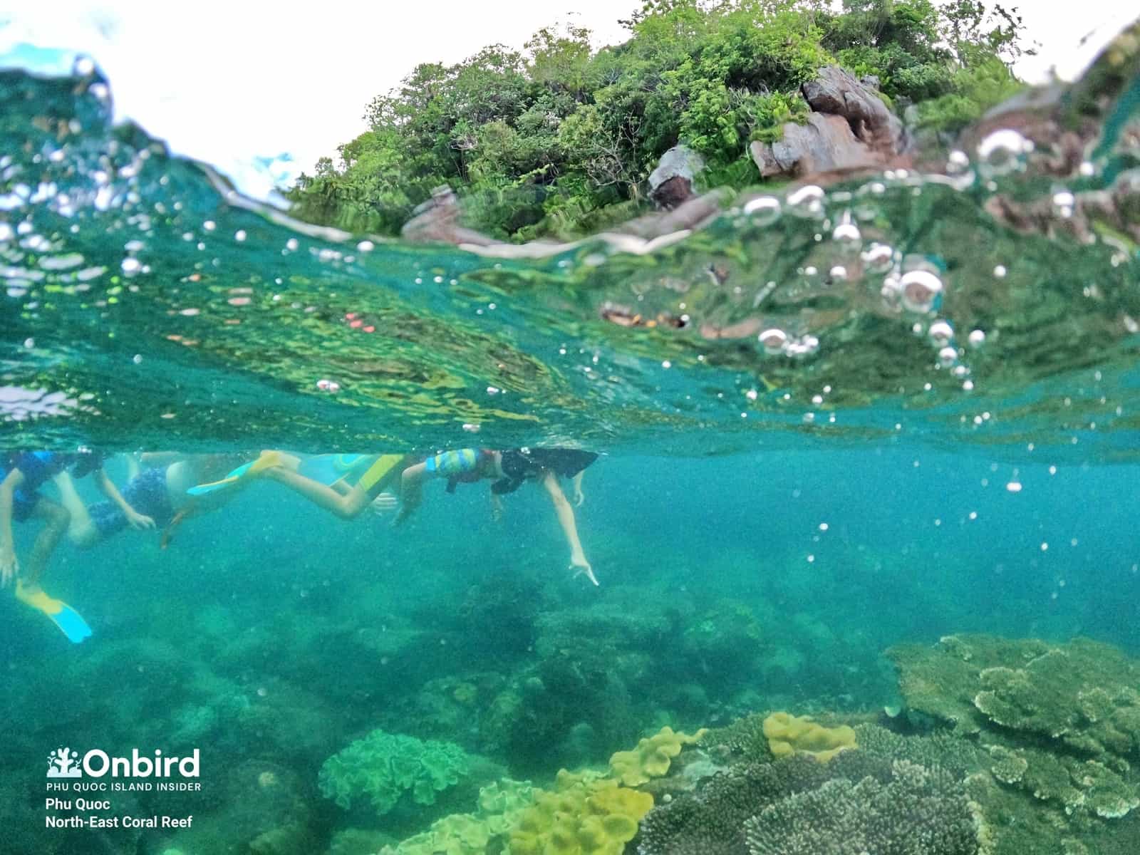 Little kid enjoy his first snorkeling in North-east coral reef, Phu Quoc Island, Vietnam