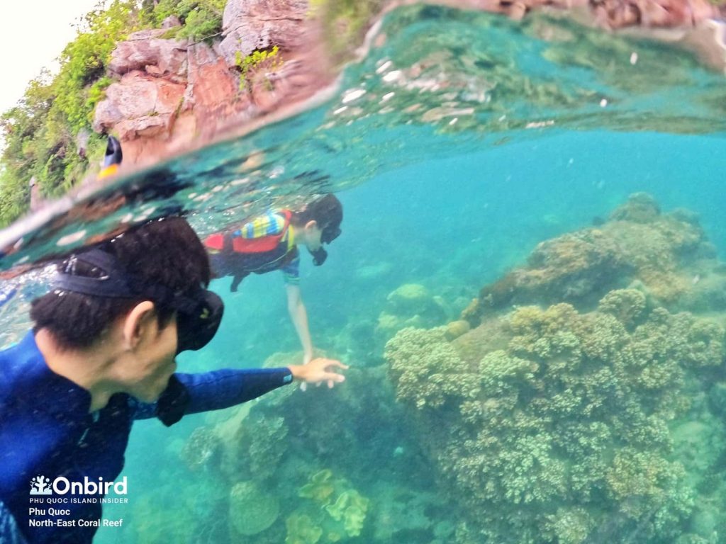 Underwater guide during snorkeling time to support kids in Phu Quoc Island, Vietnam