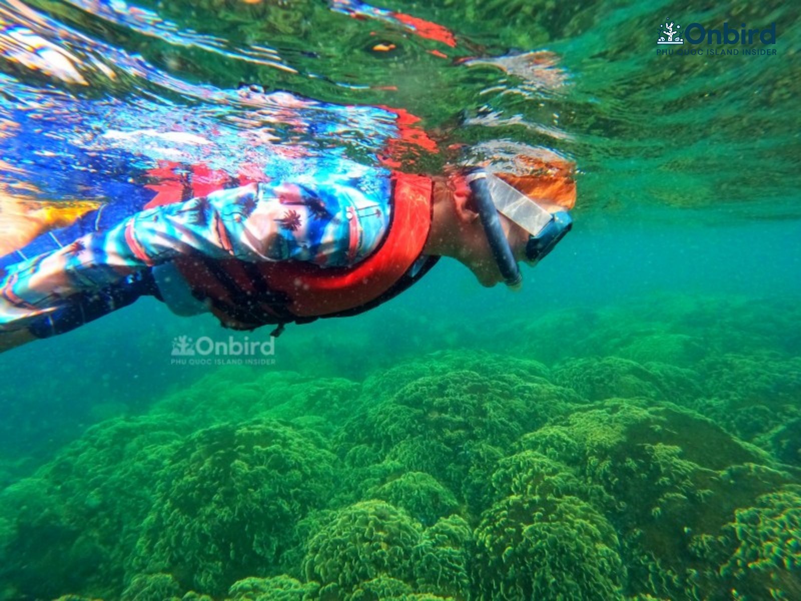 Kid snorkeling in Phu Quoc
