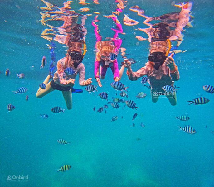 Private Snorkeling with kid in Phu Quoc Island, Vietnam to see fish and coral