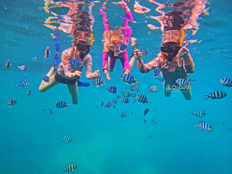 Private Snorkeling with kid in Phu Quoc Island, Vietnam to see fish and coral