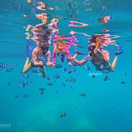 Private Snorkeling with kid in Phu Quoc Island, Vietnam to see fish and coral