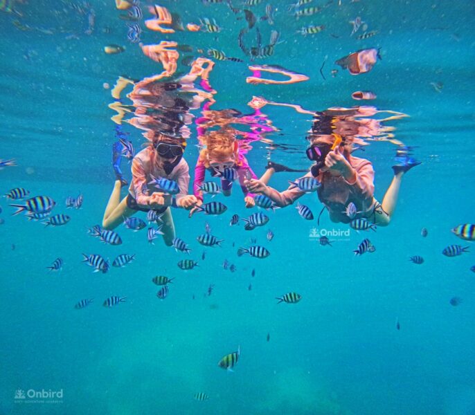 Private Snorkeling with kid in Phu Quoc Island, Vietnam to see fish and coral