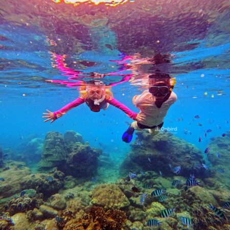 Private Snorkeling with kid in Phu Quoc Island, Vietnam to see fish and coral