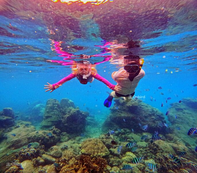 Private Snorkeling with kid in Phu Quoc Island, Vietnam to see fish and coral