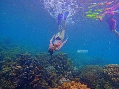 Private Snorkeling with kid in Phu Quoc Island, Vietnam to see fish and coral