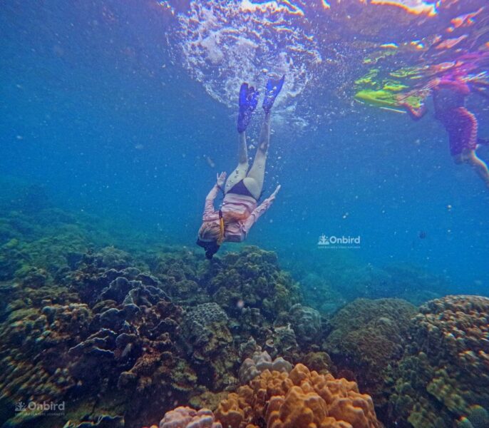 Private Snorkeling with kid in Phu Quoc Island, Vietnam to see fish and coral