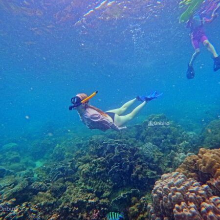 Private snorkeling with kids in Phu Quoc Island, Vietnam to see fish and coral