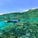 Private snorkeling trip in Phu Quoc Island to avoid crowds to explore Coral Mountain