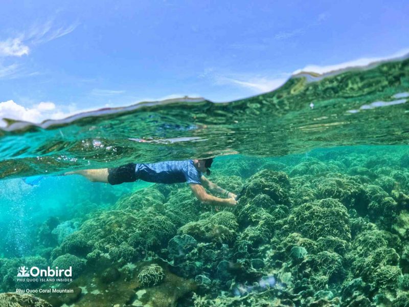 Private snorkeling trip in Phu Quoc Island to avoid crowds to explore Coral Mountain