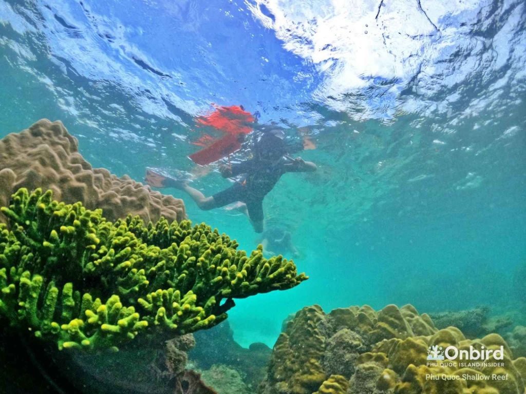 [PRIVATE] FAMILY KIDFRIENDLY SNORKELING ADVENTURE IN PHU QUOC BY