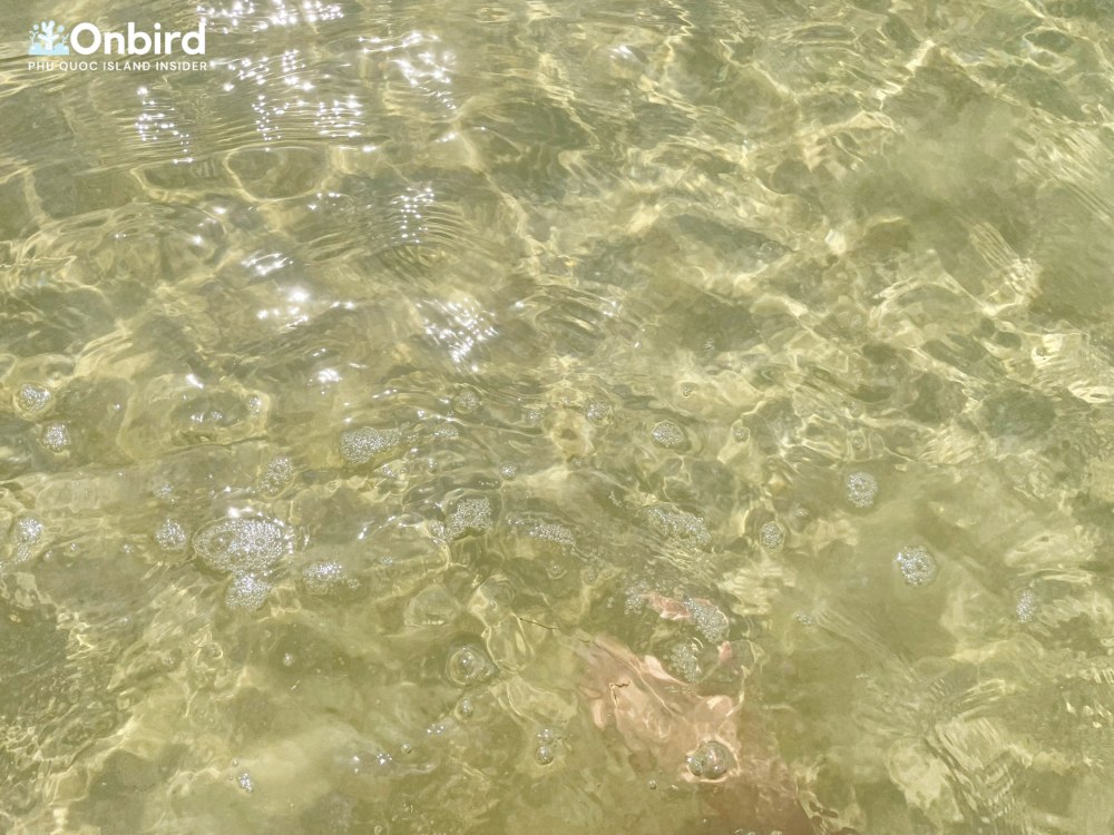 Bai Dai Casuarina Beach Phu Quoc (8)