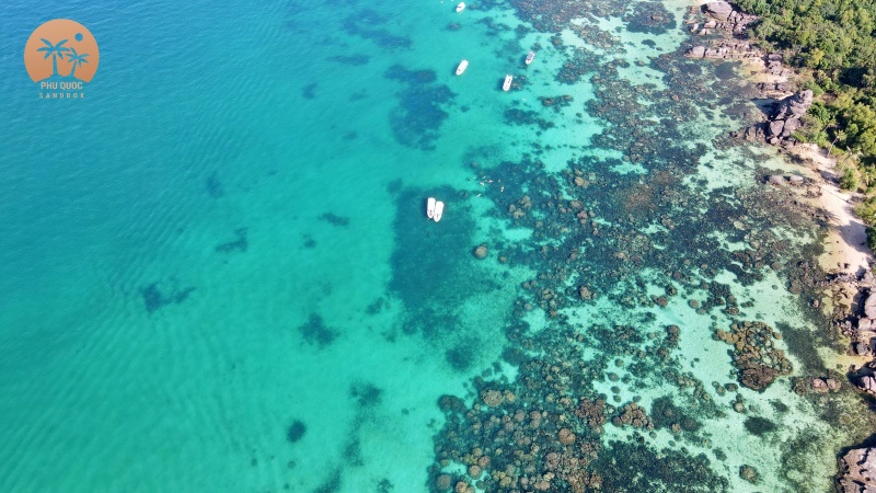 [Official] Vietnam fully reopens from today - foreigners can travel freely with negative COVID-test