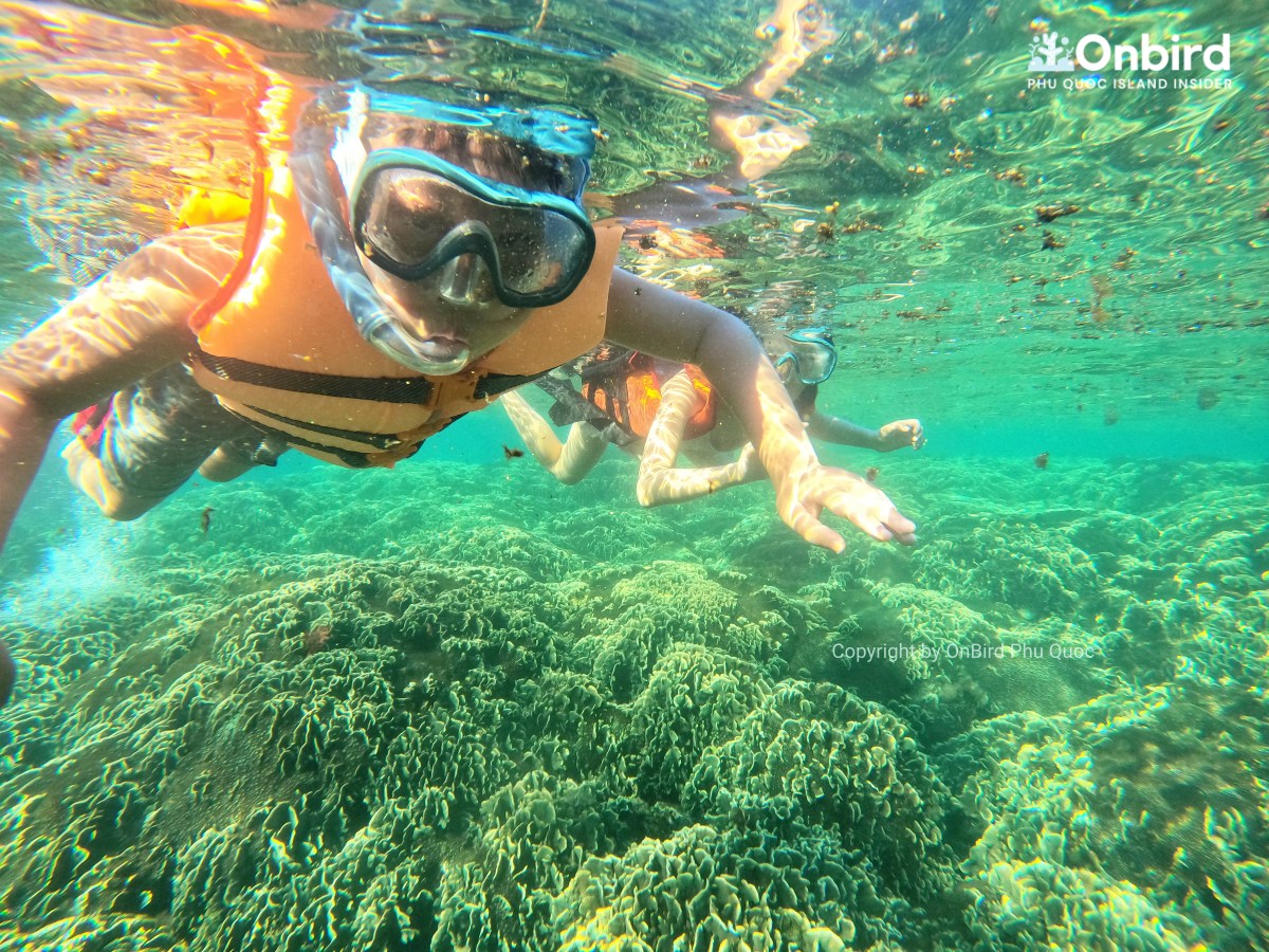 Coral Mountain Phu Quoc snorkeling with kids by speedboat
