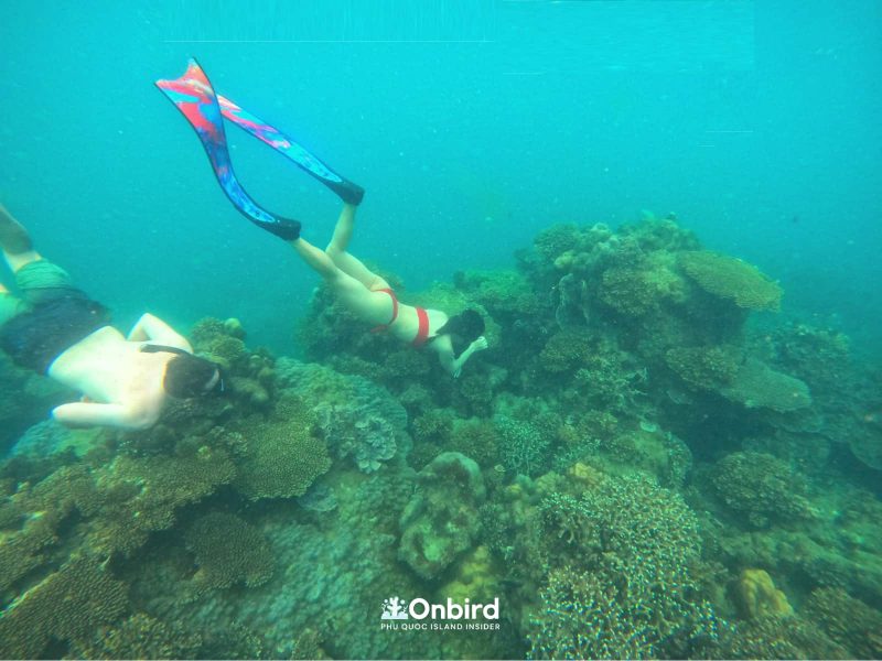 Free-diving for underwater photos and video in Phu Quoc Island