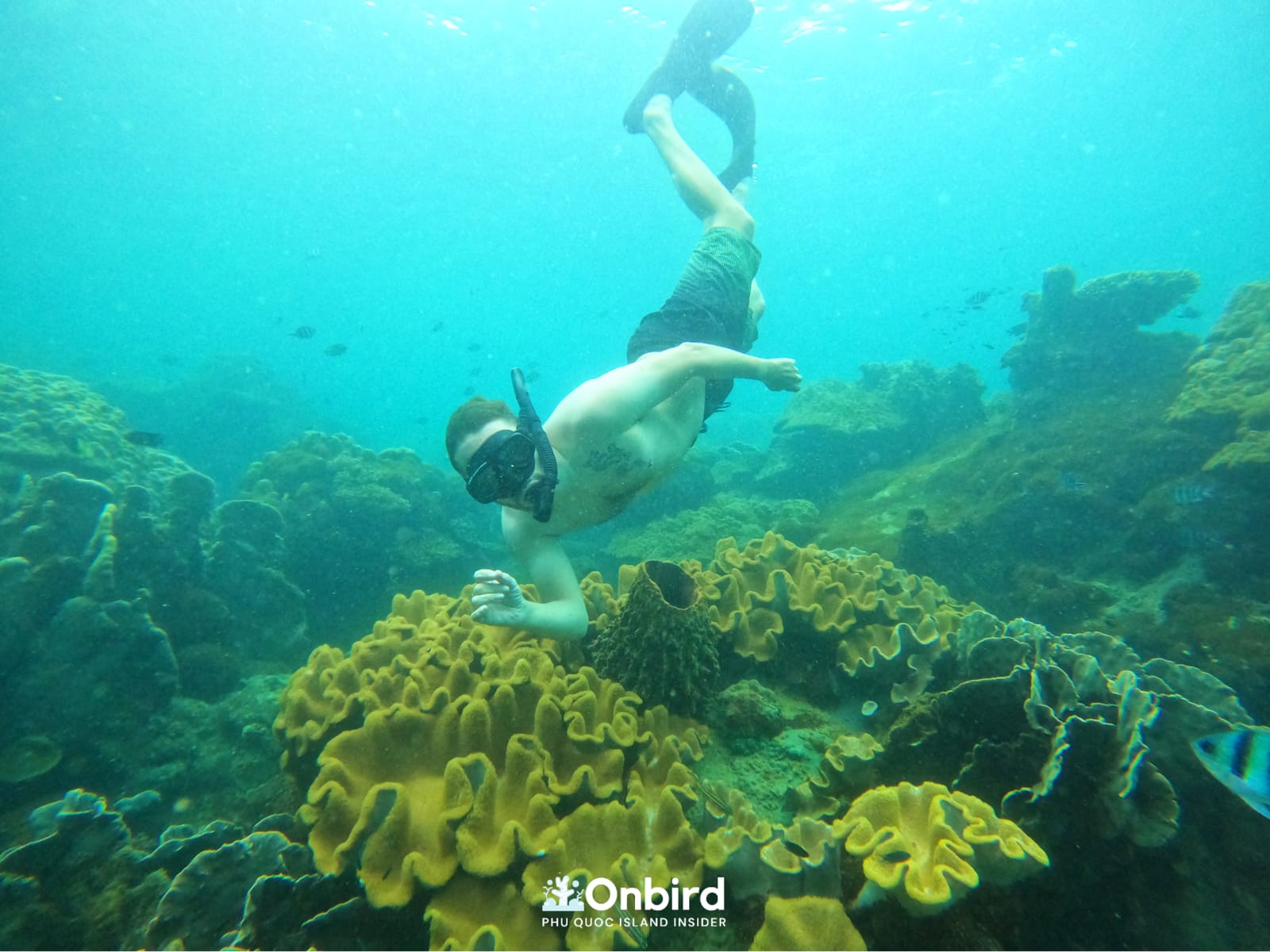 Free-diving for underwater photos and video in Phu Quoc Island