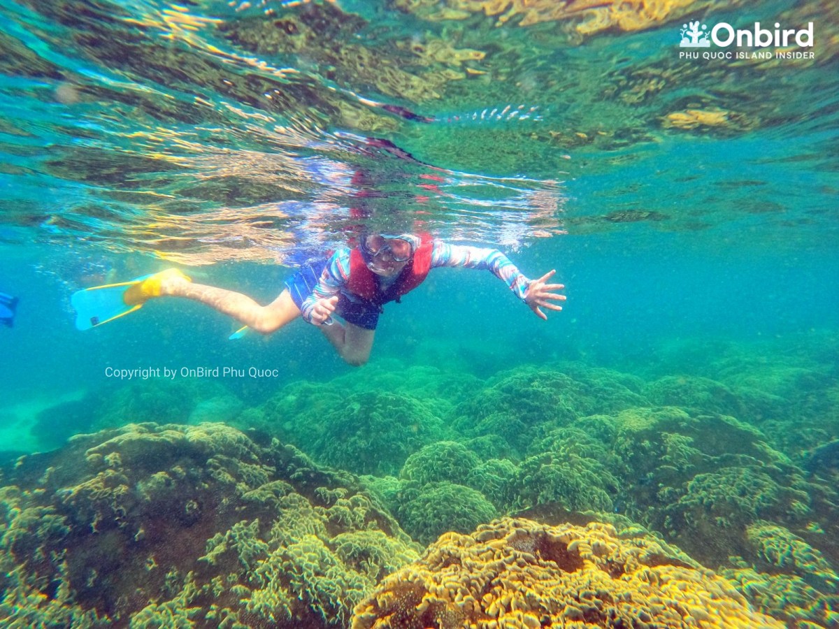 OnBird tour rieng danh cho gia dinh co tre em lan ngam san ho Phu Quoc
