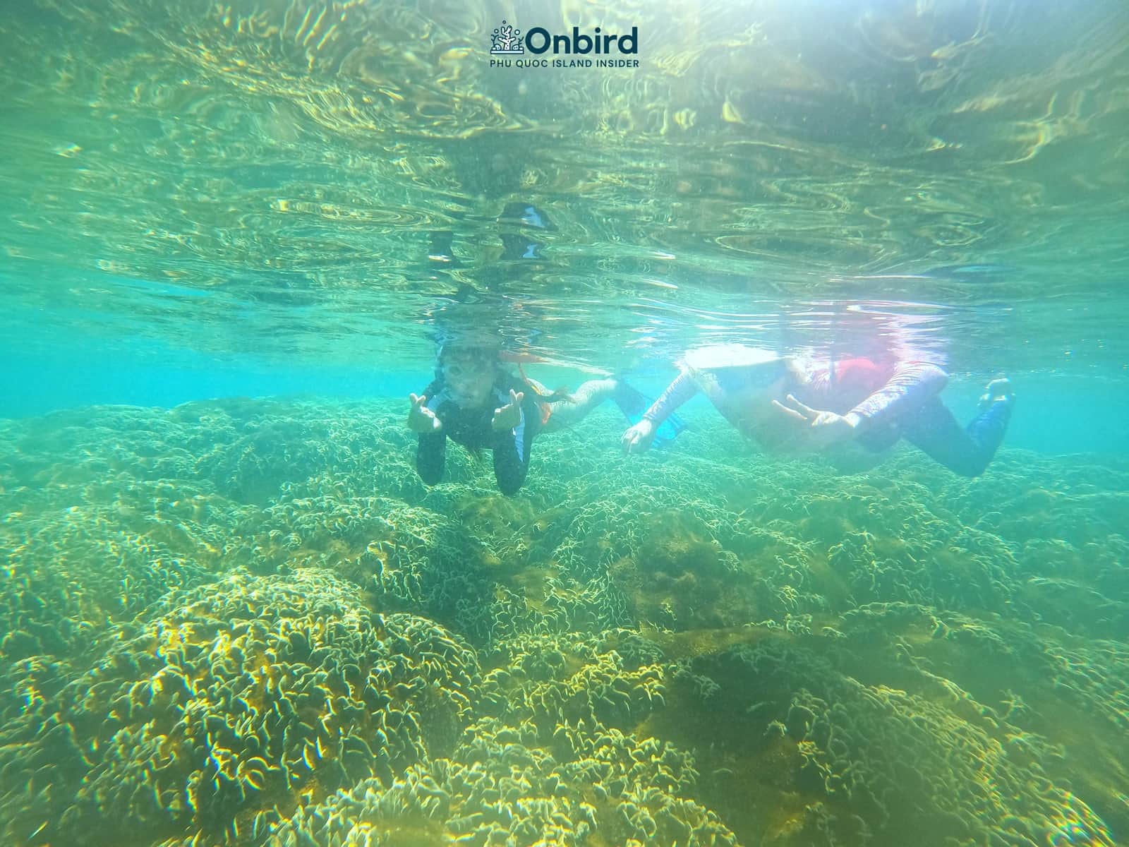 Snorkeling pinic trip in Phu Quoc Island to explore coral reefs