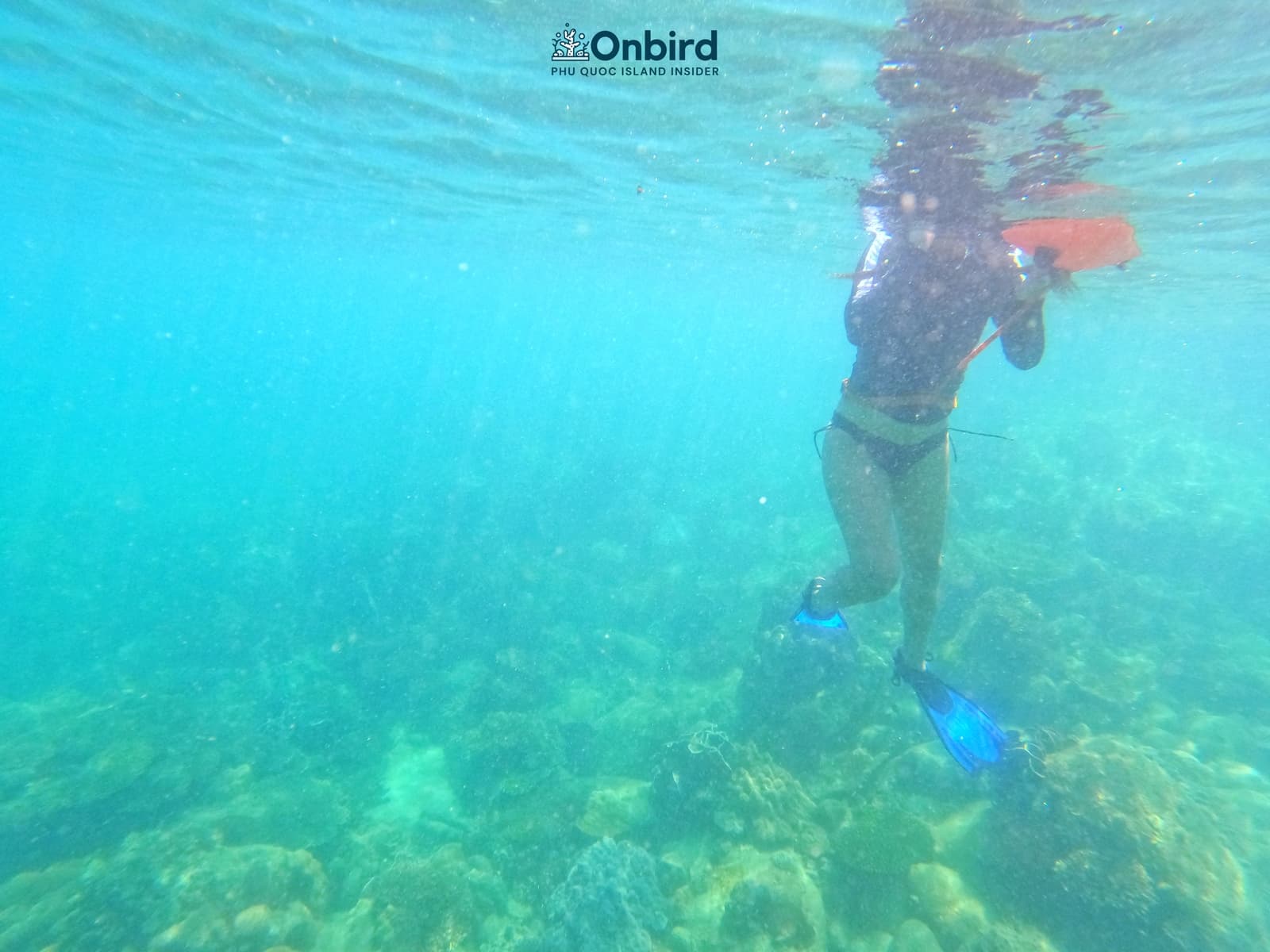 Snorkeling pinic trip in Phu Quoc Island to explore coral reefs
