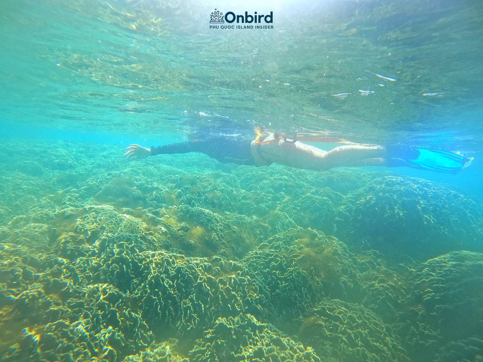 Snorkeling pinic trip in Phu Quoc Island to explore coral reefs