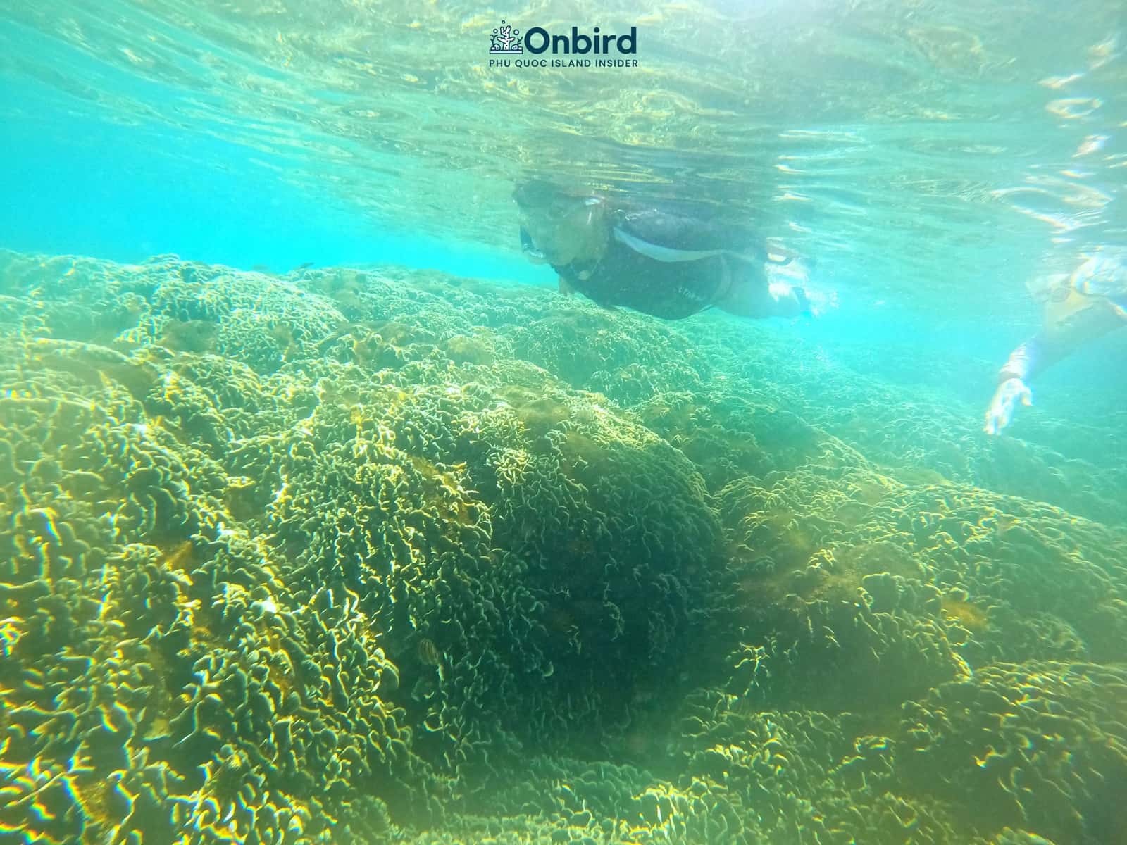 Snorkeling pinic trip in Phu Quoc Island to explore coral reefs