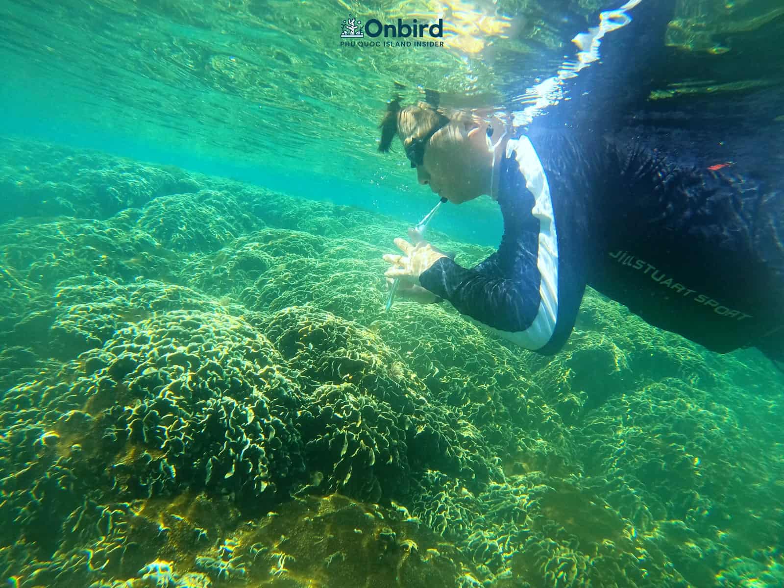 Snorkeling pinic trip in Phu Quoc Island to explore coral reefs