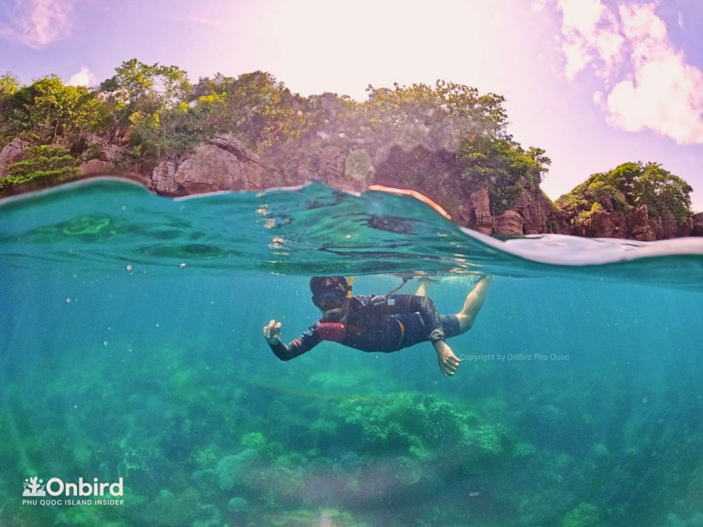 Phu Quoc snorkeling at Northeast Coral Reef