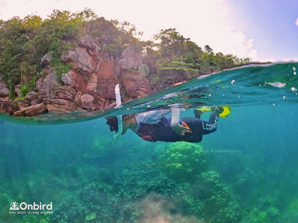 [PRIVATE] SHORT SNORKELING TO EXPLORE PHU QUOC CORAL REEFS BY SPEEDBOAT